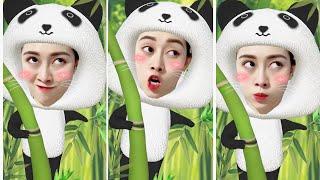 Bé gấu trúc cục súc  Việt Phương Thoa