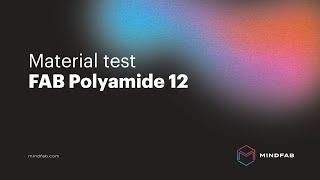 Test of material FAB Polyamide 12 | MINDFAB