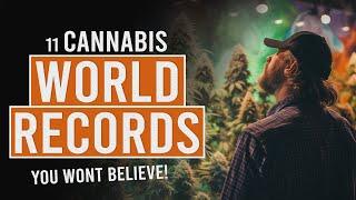 11 Cannabis World Records You Won’t Believe!