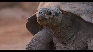 Galapagos host biofouling workshop