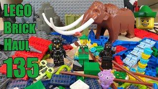 LEGO Brick Haul 135 - Brick Link & Subscribers! 