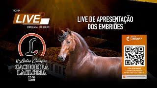 Live de Embriões - 4º Leilão Criação Haras Laglória