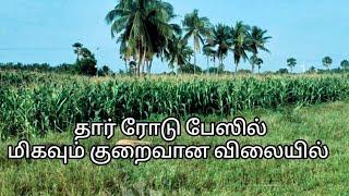 தார் ரோடு பேஸிஸ் மிகவும் குறைவான விலையில்