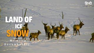 Land of ice and snow - Wildest Europe । Full Documentary in Hindi