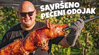 Whole 14 KG Pig cooking on skewer. Amazing crust! Roasted  Pig.