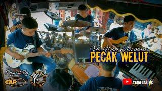 LAGU VIRAL TIKTOK!!!! PECAK WELUT - VOC. WATI AZZAHRA | TEAM GARINK - DUA PUTRA | LIVE SHOW WANGUK