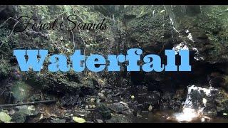 1 Hour Relaxing forest waterfall. Relaxing nature sounds