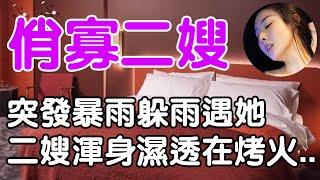 那天下地幹活突遇暴雨，躲進機井屋躲雨時碰見俏寡婦二嫂也在躲雨，她也淋透了，正在火堆前烤衣服|珊珊故事匯