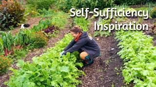 3 Acre UK PERMACULTURE Garden TOUR - Self-Sufficient Gardening INSPIRATION!