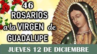 46 Rosarios a la Santísima Virgen de Guadalupe, Jueves 12 de Diciembre, Dia 46 Misterios Luminosos