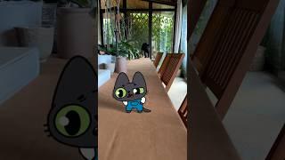 Benji meets REAL BENJI!  #simbochka #simba #animation #cat