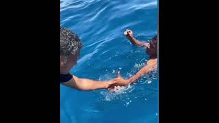 Man swims through shark infested water to rescue tiny bird in the Maldives