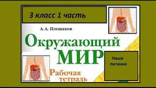 Окружающий мир 3 класс рабочая тетрадь. Наше питание