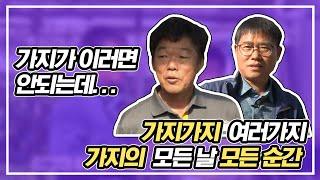 가지 재배 완전 정복!