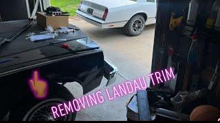 LANDAU BUILD HAS OFFICIALLY STARTED