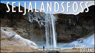 "That Waterfall You Can Walk Behind" - Seljalandsfoss, Gljúfrabúi and the HIDDEN Canyon