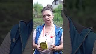 Как навсегда избавиться от колорадского жука 