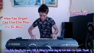 Liên Khúc Organ Cha Cha THÁI