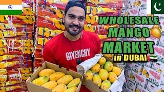 India Vs Pakistani Mangoes | MANGO WHOLESALE MARKET IN DUBAI | Import from INDIA & PAKISTAN