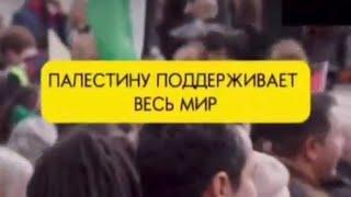 Мир за Палестину