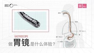 做胃镜是种什么体验？到底痛不痛？