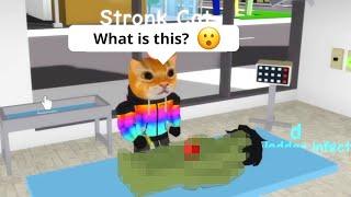 Dr. Stronk Cat Found THIS in Roblox Brookhaven RP