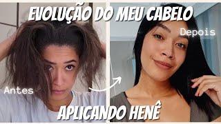 ANTES E DEPOIS DO HENÊ  | EVOLUÇÃO DO MEU CABELO EM 10 APLICAÇÕES