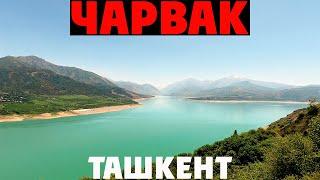  Ташкент: НЕУЖЕЛИ это ЧАРВАК?!  ШОК и МОРЕ ВКУСНОСТЕЙ! | Узбекистан 2025