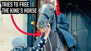 Grabs Royal Guard Horse to FREE it! | Horse Guards, Royal guard, Kings Guard, Horse, London, 2024