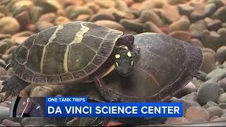 The Da Vinci Science Center in Allentown, Pa. combines creativity and curiosity