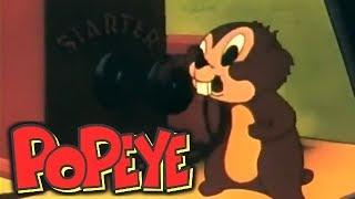 POPEYE: Gopher Spinach - Full Cartoon Episode - HD