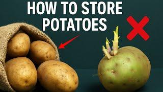 how to store potatoes fresh for a year without spoilage