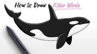 How to Draw Ocean Killer Whale (Orca animal) easy Step By Step