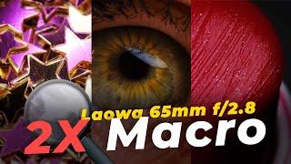 О макро оптике на примере лучшего макро объектива под кроп – Laowa 65mm f/2.8 2X macro APO
