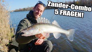 Zander Combo | 5 Fragen, die Du dir stellen solltest VOR dem Kauf