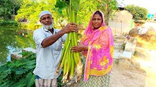 Most People Never Eat This Wild Giant Taro Root With Egg Meat Curry Recipe Harvest Big Taro COOKING