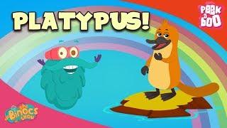 What Is A Platypus? - The Dr. Binocs Show | Best Learning Videos For Kids | Peekaboo Kidz