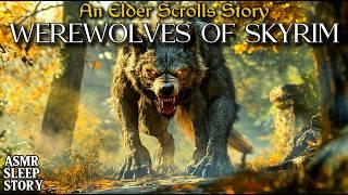 Werewolves Of Skyrim: A Skyrim Bedtime Story | Cozy Elder Scrolls ASMR Lore & Ambience For Sleep