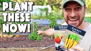 Zone 8 Fall Garden | 10 Vegetables To Plant Now!