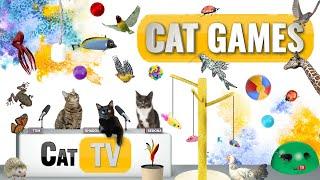 CAT Games | Ultimate Cat TV Compilation Vol 50 | 2 HOURS 