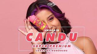 REVIEW CANDU SUPER PREMIUM LORD OF HUNDREDS BY AWKARIN