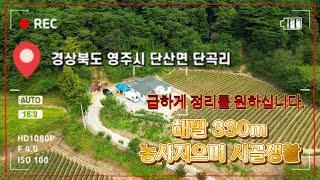 [매물번호:489번] 농사지으며 생활하실 자연속 생활주택 / 자연인생활도 가능한 #단곡리 주택