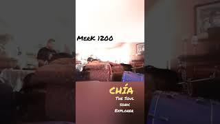 CORNERSTONE SOUND LAB JAM SESSIONS - FEATURING CHIA & MERK 1200 @  ROB'S SOUND LAB