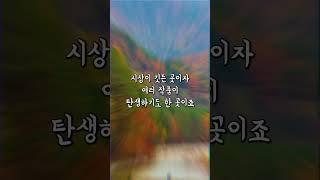 대한민국 최고의 계곡 찾아서, 계곡 추천