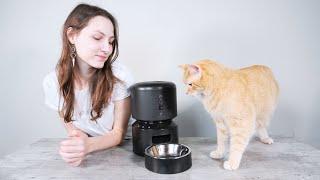 Petlibro Granary Automatic Cat Feeder Review (We Tried It)