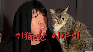 고양이에게 들려주는 기猫(묘)한 이야기