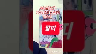 말띠 오늘의운세 2024년11월25일 띠별운세 #운세 #오늘의운세 #띠별운세