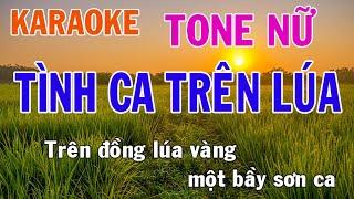 Tình Ca Trên Lúa Karaoke Tone Nữ Nhạc Sống - Phối Mới Dễ Hát - Nhật Nguyễn