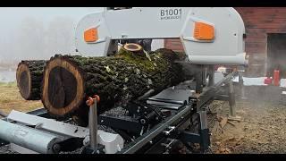 Tree Trunk Bench