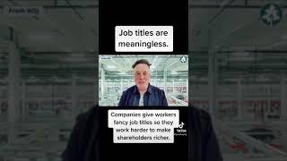 Job titles are meaningless!